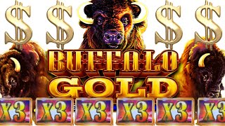 More Buffalo Gold Action! Live Slot Play at Casino ๐ฐ