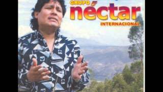 Grupo Nectar Acordes