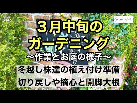 冬にキョウチクトウを鉢に入れる方法は？冬に備えて寒さや霜から守るための3つのヒント?  庭園