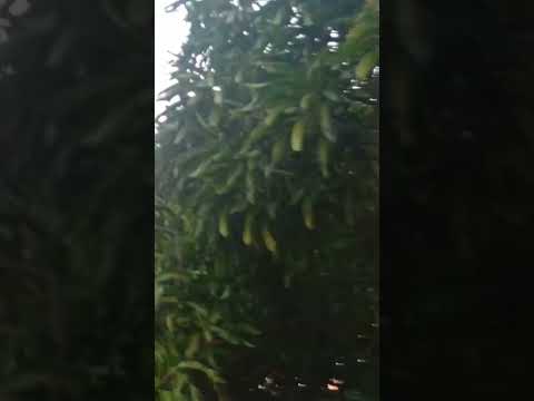 #santamarta #magdalena #colombia