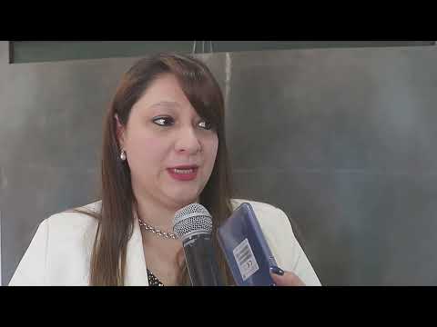 Sáenz recibió a empresarios de la minera First Quantum para avanzar en la concreción del proyecto Taca Taca