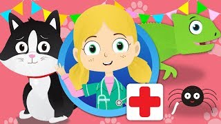 Sarah The Cat Visits Dr Poppy&#39;s Pet Rescue | Animals For Kids