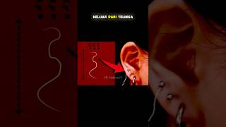 Download lagu INILAH KISAH NYATA YANG SANGAT MENGERIKAN #gudangit #shorts mp3 Download lagu INILAH KISAH NYATA YANG SANGAT MENGERIKAN #gudangit #shorts mp3