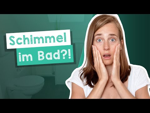 Learn More German Homonyms: Scheibe, Schein, Schimmel - B1 [with Jacqueline]