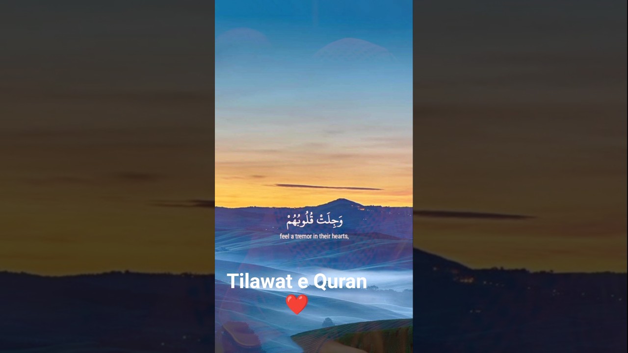 #shorts#Tilawat e quaran❤️❤️🕋#shortsfeed