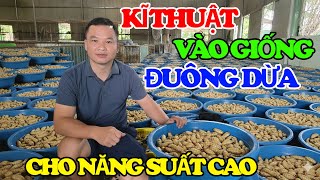 Techniques for Breeding Thai Coconut Worms for High Yield, Bringing Hundreds of Millions in Profi...