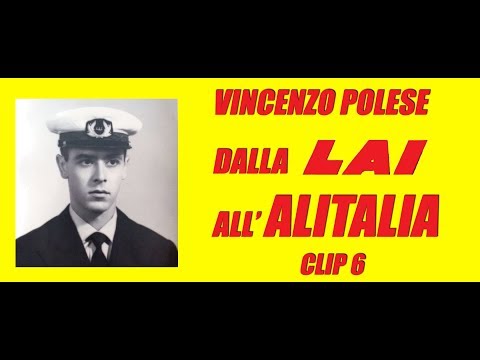The merger of LAI Italian Airlines with Alitalia - Vincenzo Polese # 6