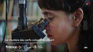 Le mystère des cerfs-volants du désert jeudi 4 décembre 2025 sur France 5