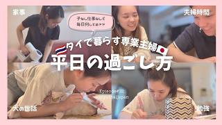 【平日vlog】バンコク在住子無し専業主婦の平日の過ごし方🇹🇭🇯🇵毎日こんな感じです👩🏻🌼