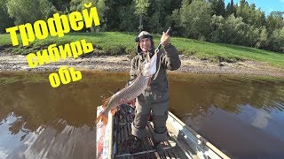 Рыбалка в селиярово ханты-мансийский район