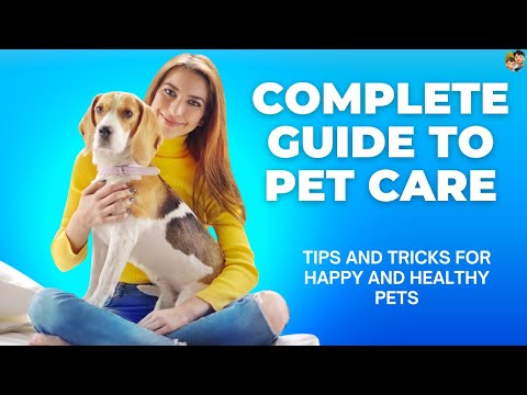 YouTube video about Caring for Your Furry Friend: A Guide to Pet Health