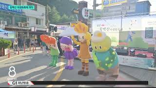 [G1뉴스] 천상의 화원..함백산 야생화 축제 개막
