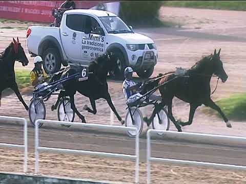 Trotto 22/06/2019 - 2ª corsa