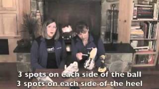 IceSpike Installation Video