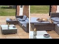 Sleepy Fox Takes A Nap In Family Garden Sofa
