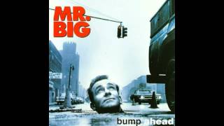 Mr. Big - Nothing But Love