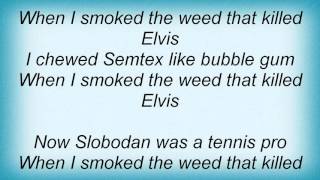 Levellers - The Weed That Killed Elvis Lyrics