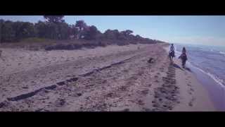 DIANA SALICETI - PADDY (CÙ PETRU GUELFUCCI)