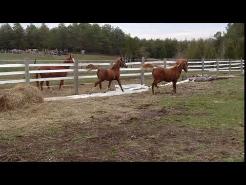 Astrid and Legacy IMG 2781