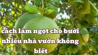 How to Identify Yellow Grapefruit, Early Ripening, Off-Center Fruit - Standard Sweet Processing ...