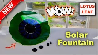 Solar  Water  Fountain ❤️ Floating Lotus Leaf    - Review   ✅