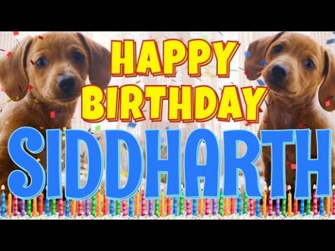 Happy Birthday Siddharth! ( Funny Talking Dogs ) What Is Free On My Birthday