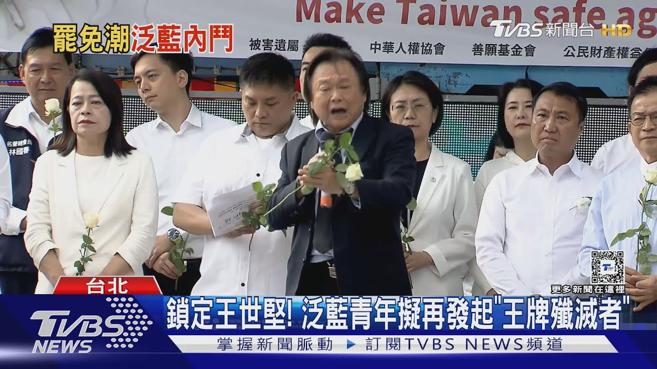 鋪路初選?泛藍青年「劍指綠委」 紛策動罷免