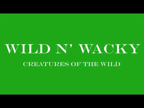 Rahul Iyer The Grizzly Bear (English UK VO)