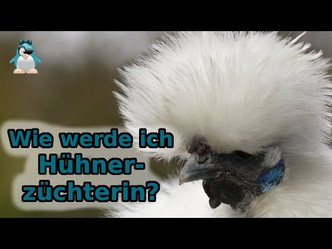 Gedanken zur Hühnerzucht - wie werde ich Hühnerzüchterin? #HowTo
