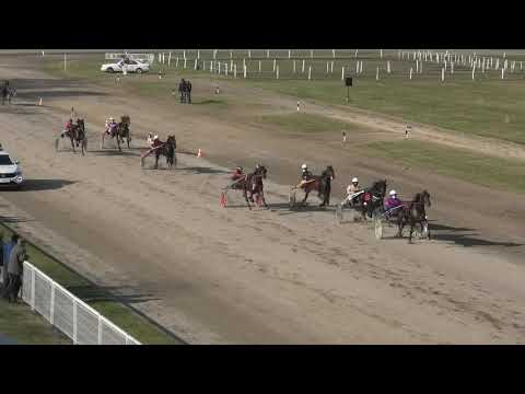 Trka "Odri el door Subotica" 08.11.2020 Armani B - Antun Horvatski