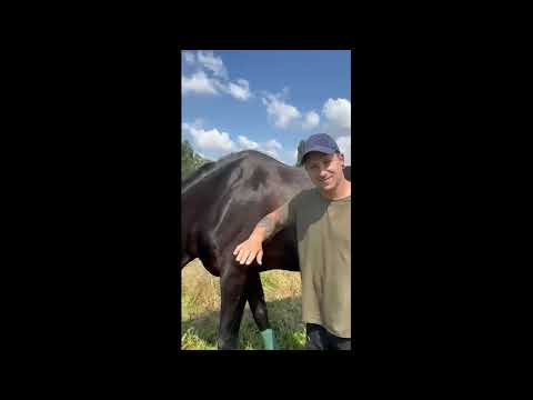 Videobotschaft von Kevin Müller zur Filmpräsentation "Einer von uns"