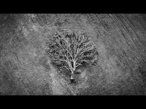 Marwan Sabb - Intrepid (Original Mix)