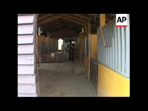 Croatia's first animal psychiatric hospital