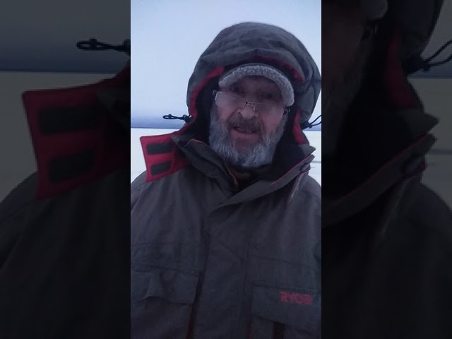 youtube.com/embed/P0X6W-w8fug