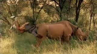 Download lagu Film Comedy Mr. Bones # 1 mp3 Download lagu Film Comedy Mr. Bones # 1 mp3