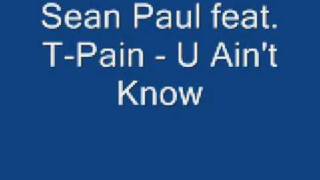 &quot;You Ain&#39;t Know&quot; - Sean Paul of YoungBloodZ feat. T-Pain