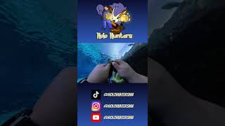 Pokémon Cards Inside the Underwater Tunnel #pokemoncards #shorts #pokemontcg #aquarium #pokemon