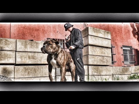 Der Asiate feat. Juliensblog - F(I)TZE prod. by Neo Unleashed (OHNE SKITS)