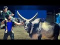WORLD BIGGEST CHAND BAIL VAMPIRE YT NE LE LIYA SYED FAHAD THE FUN FIN