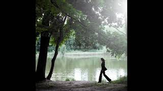 Déranger Les Pierres - Carla Bruni