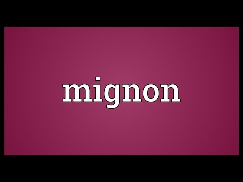 Mignon Meaning