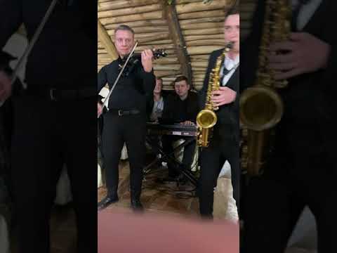 Sergiu Fetescu și Formația LiveTrio (Zi de naștere Manole)