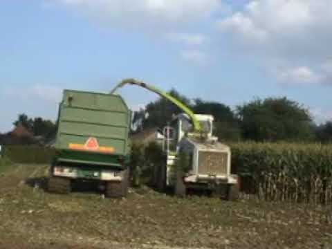 Vanneste L.: Mais hakselen.