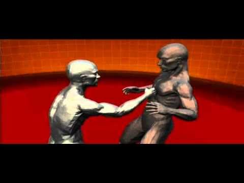 Master Moves of Kung Fu : Human Weapon