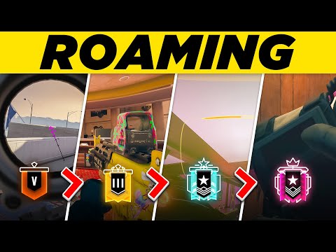 4 Levels of Roaming: Beginner to PRO