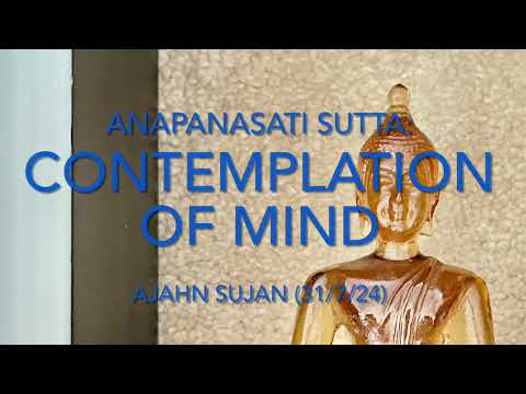 Mindfulness of breath: cittanupassana 31/7/24