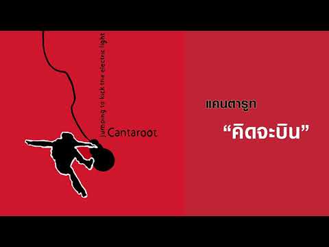 CANTAROOT (แคนตารูท) : คิดจะบิน (Remaster official Audio)
