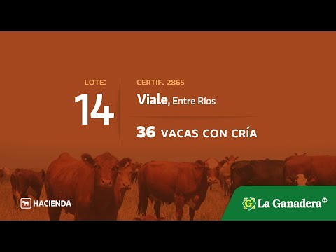  Vacas c/cria en Viale (E.Rios)