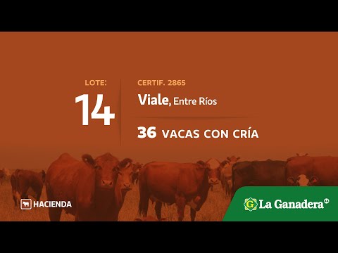 Lote Vacas c/cria en Viale (E.Rios)