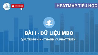 Heatmap Cơ Bản - Bài 1:  Dữ liệu MBO. Quá trình Hình Thành và Phát Triển | Heatmap Tiểu Học